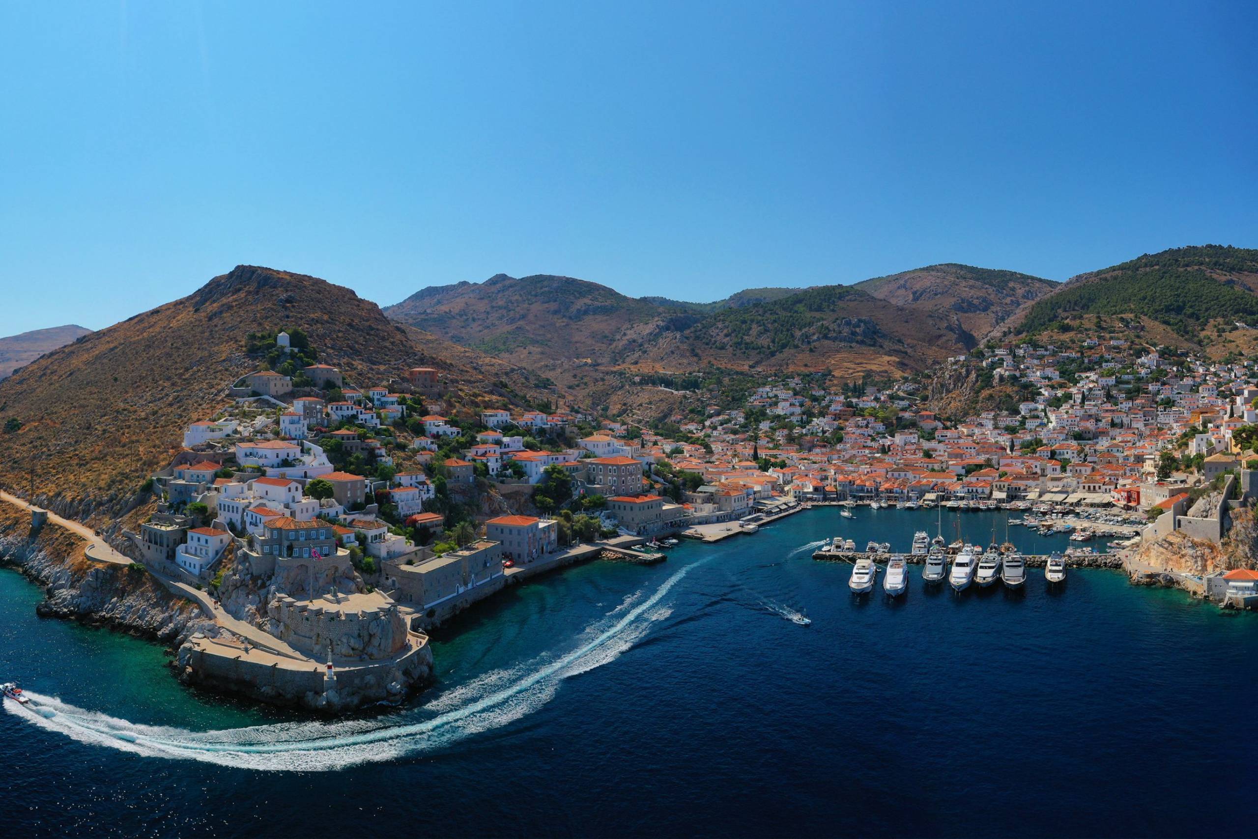 Hydra