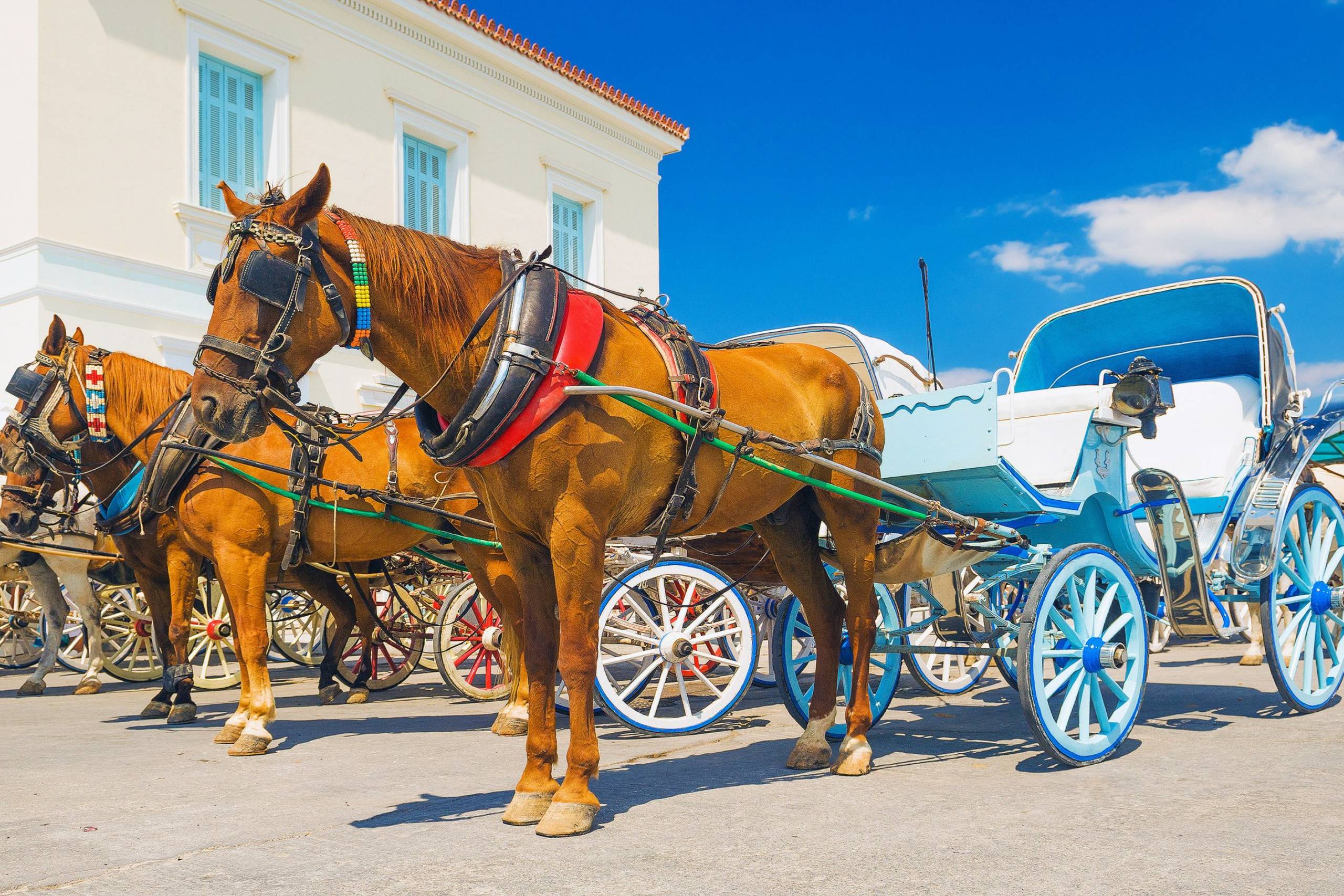 Spetses