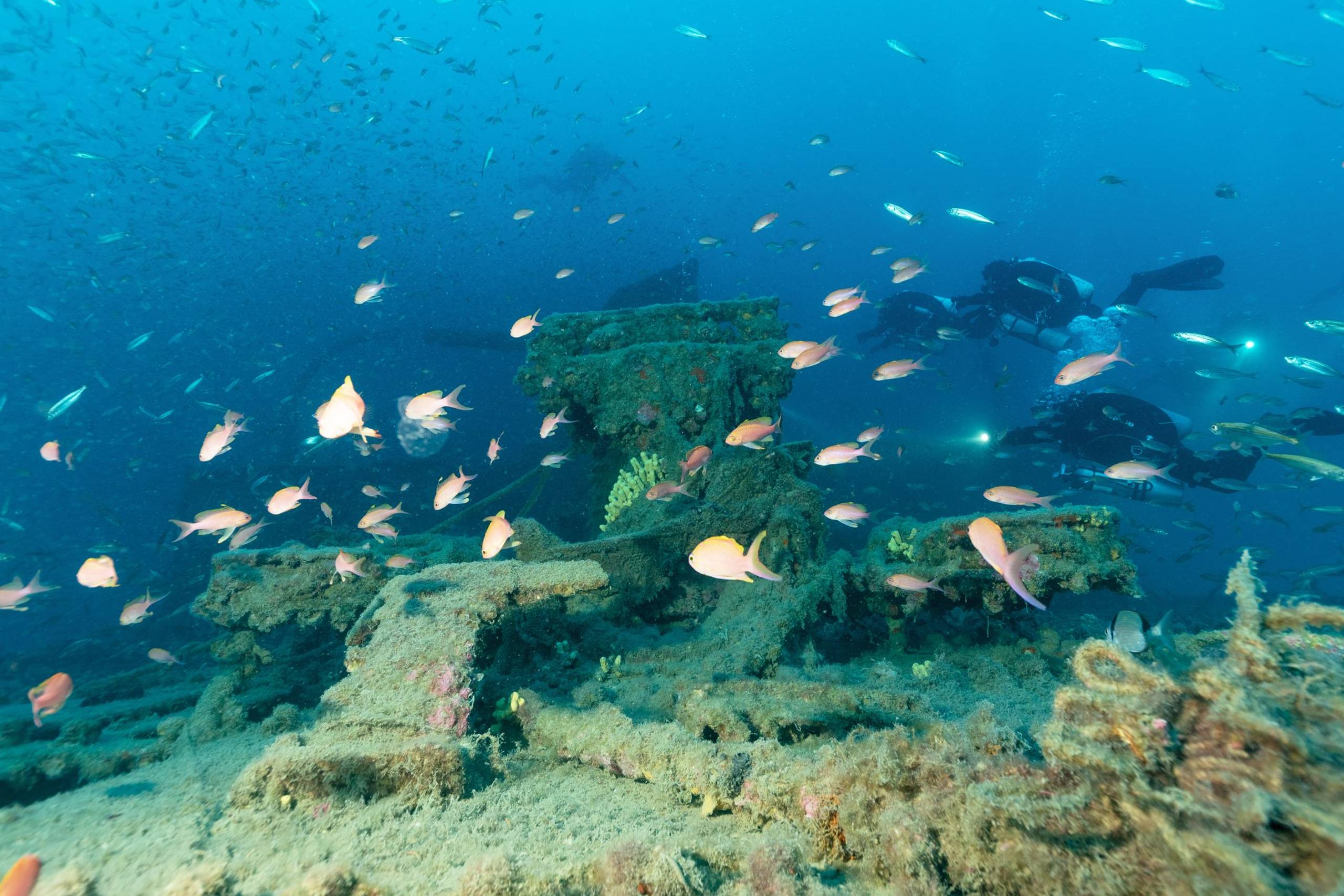 Cinque Terre Marine Protected Area