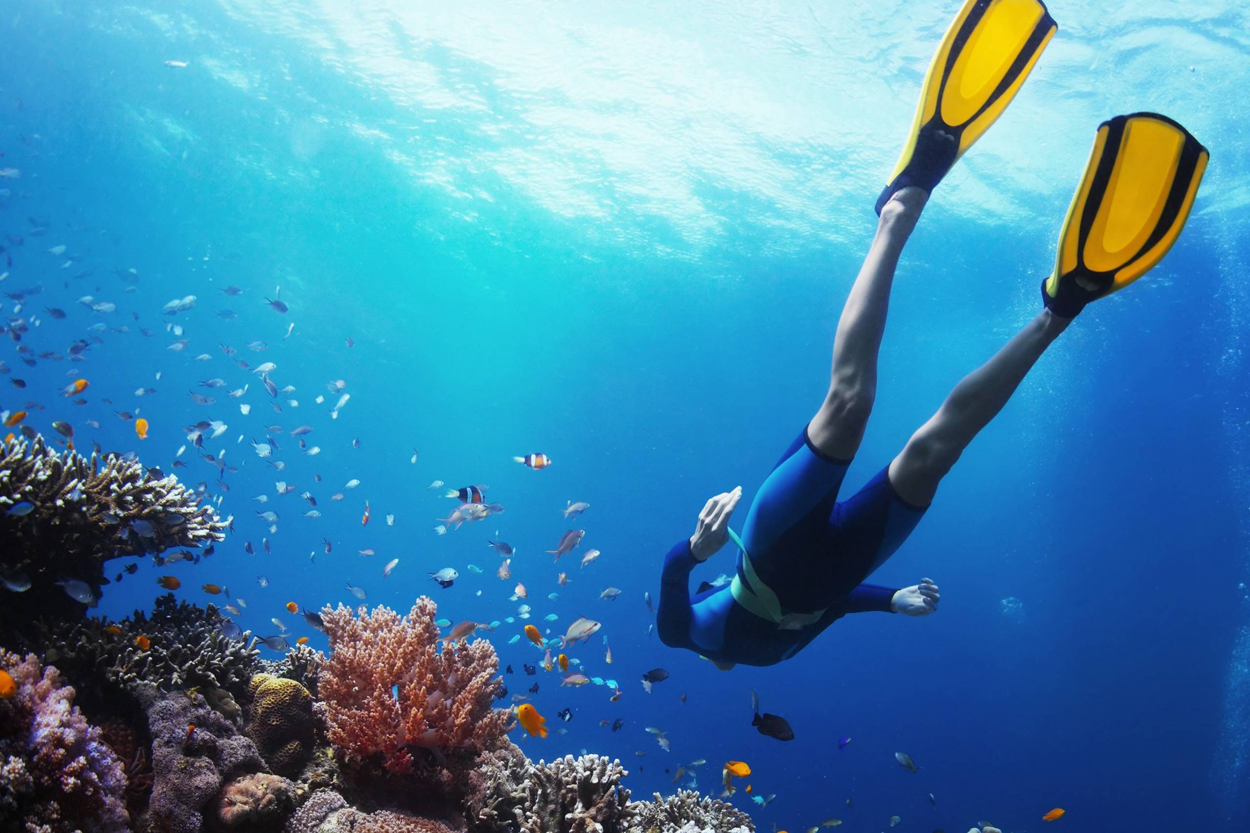 Pain de Sucre Dive Site