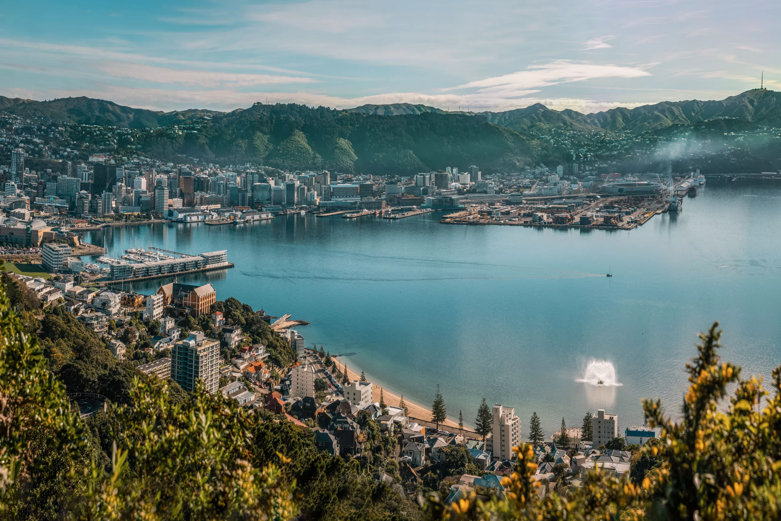 Wellington