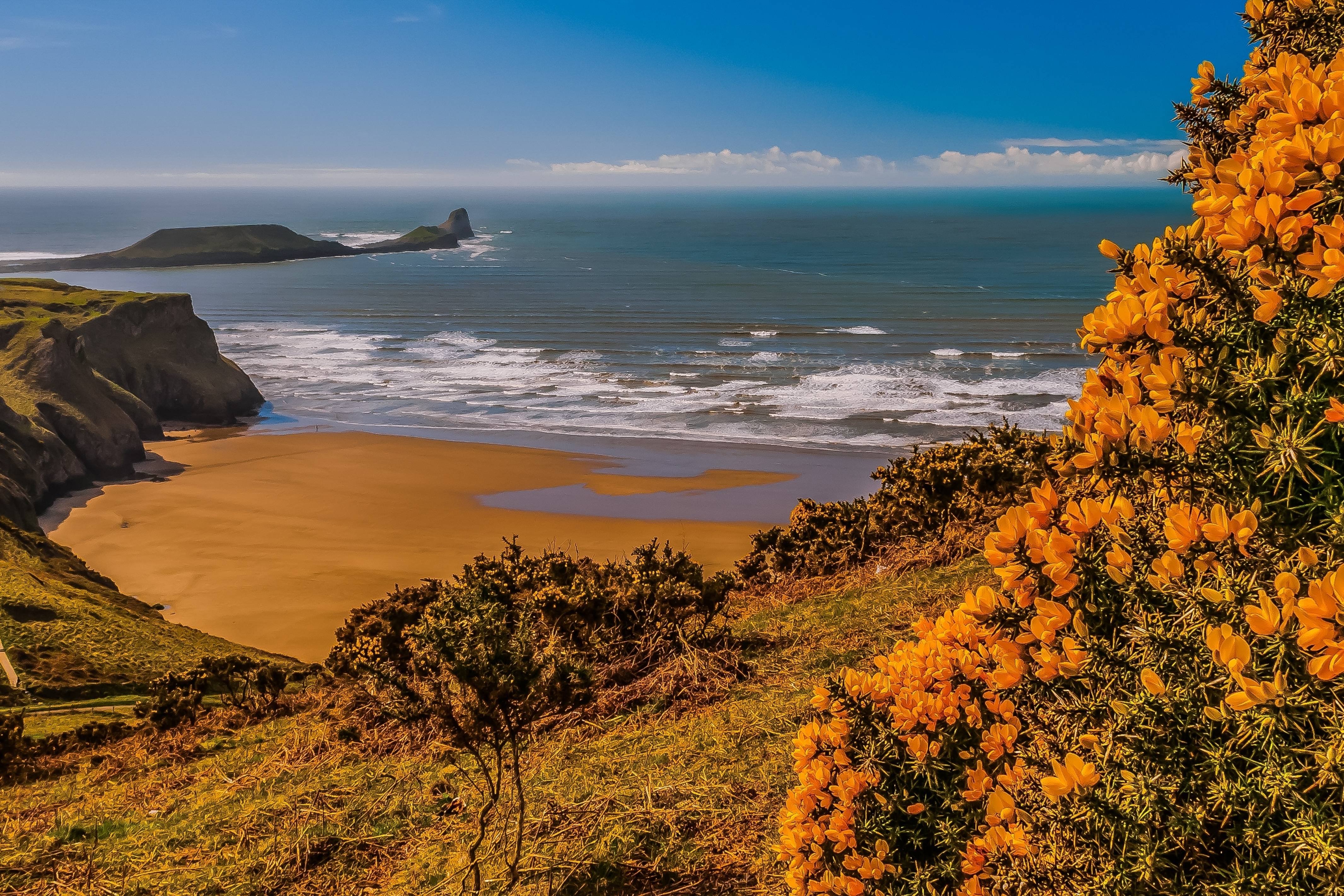 WALES 