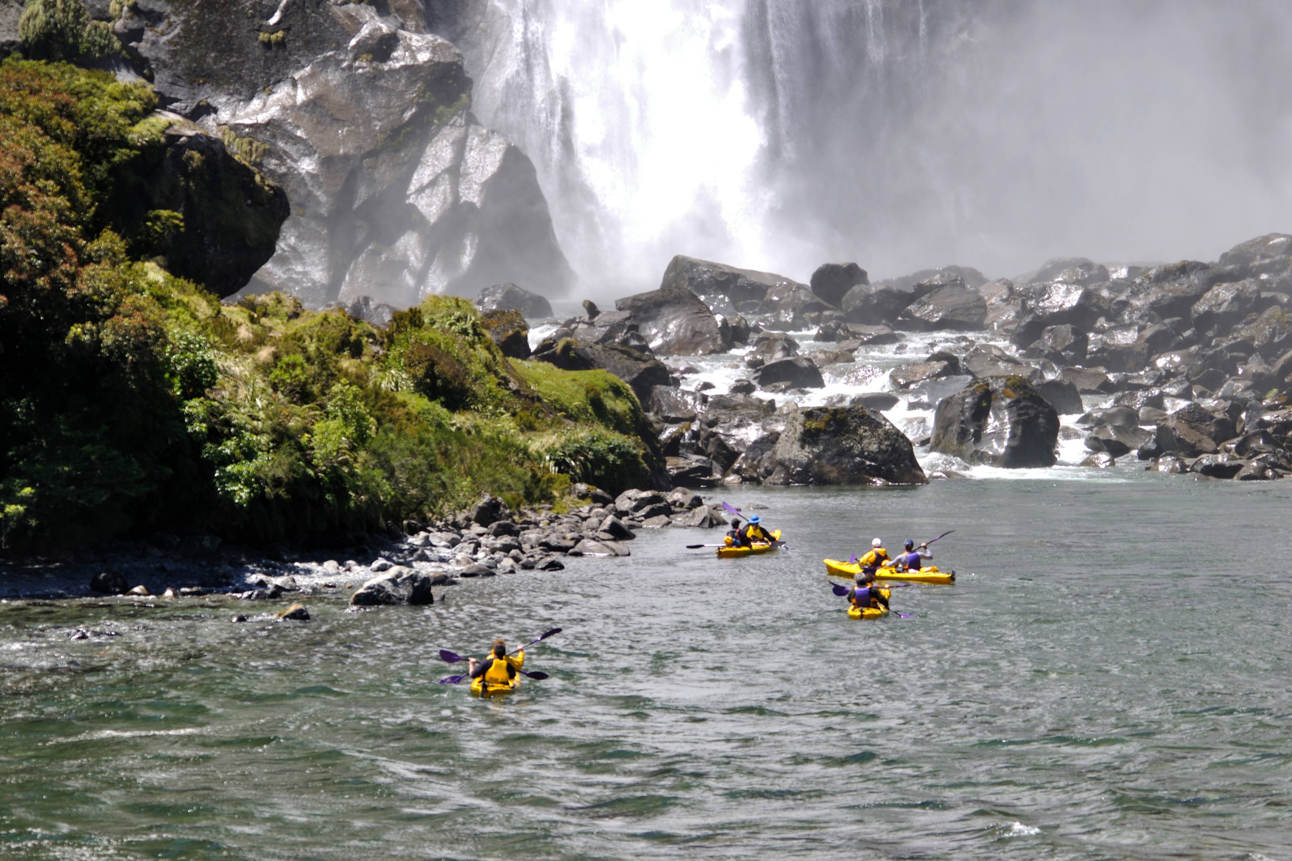 Kayak or Paddle Board