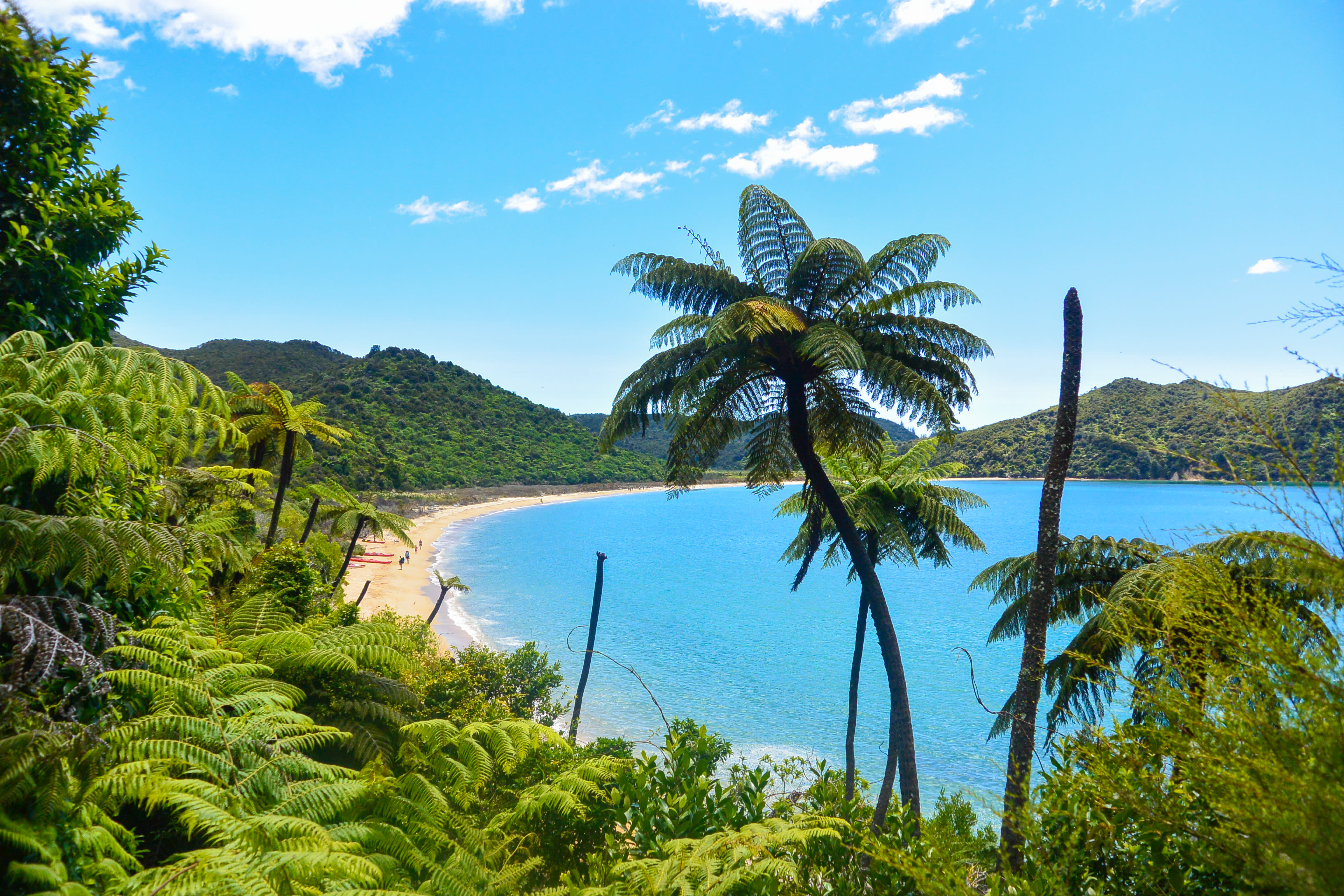 Tasman Bay