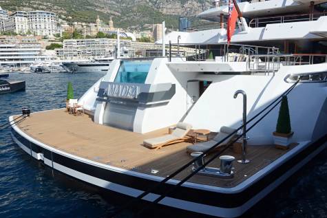Amadea Through the Lens
