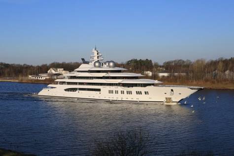 Amadea Through the Lens