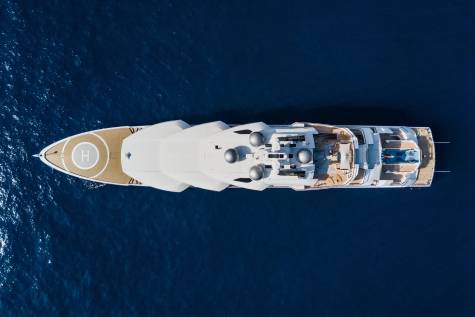 Amadea Through the Lens