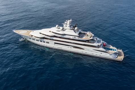 Amadea Through the Lens