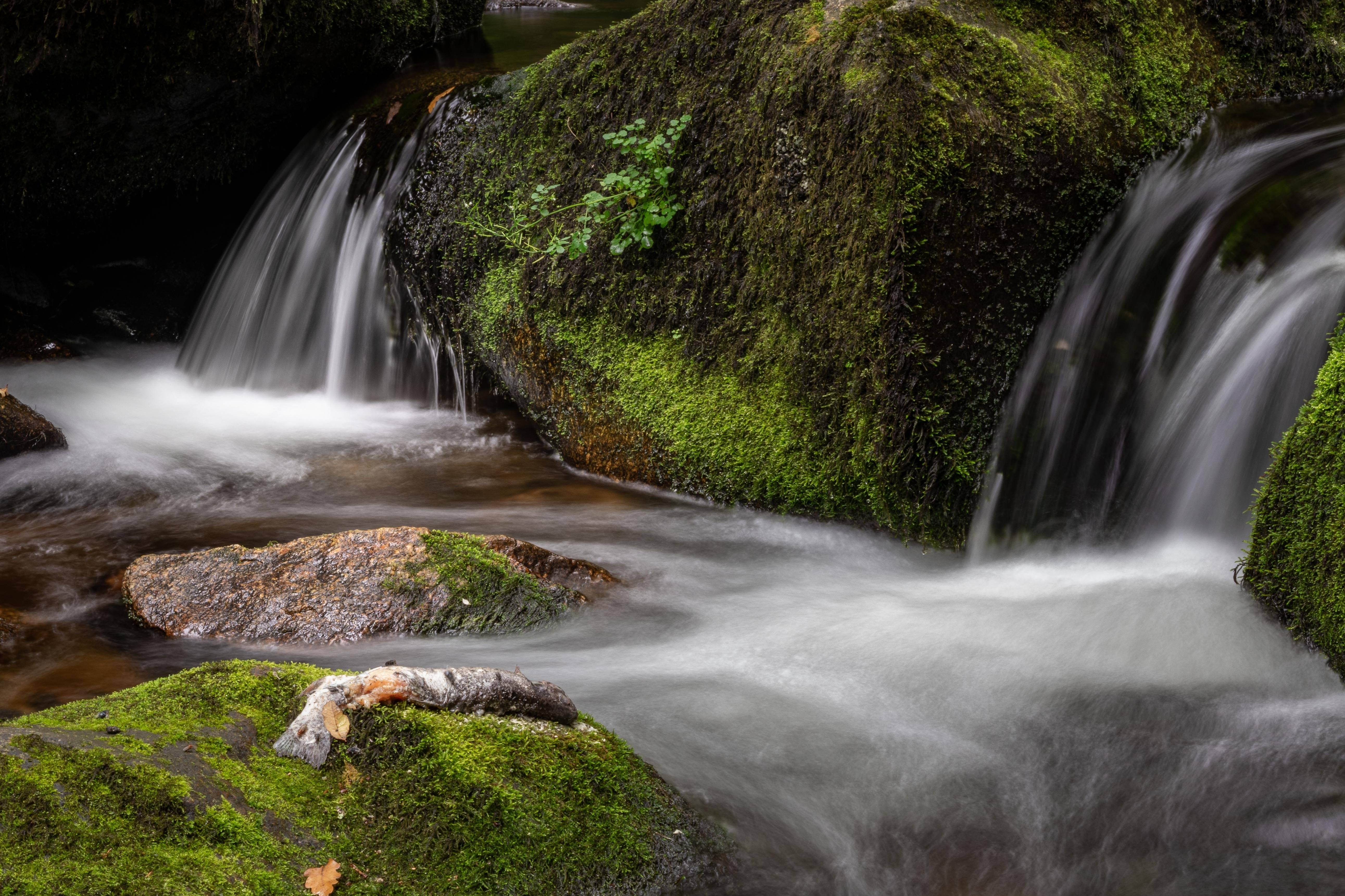 Dartmoor National Park