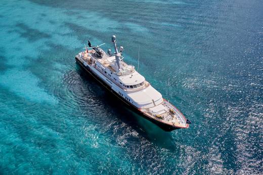 Amara Through the Lens