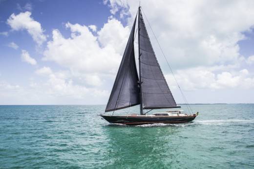 Tenacious Through the Lens