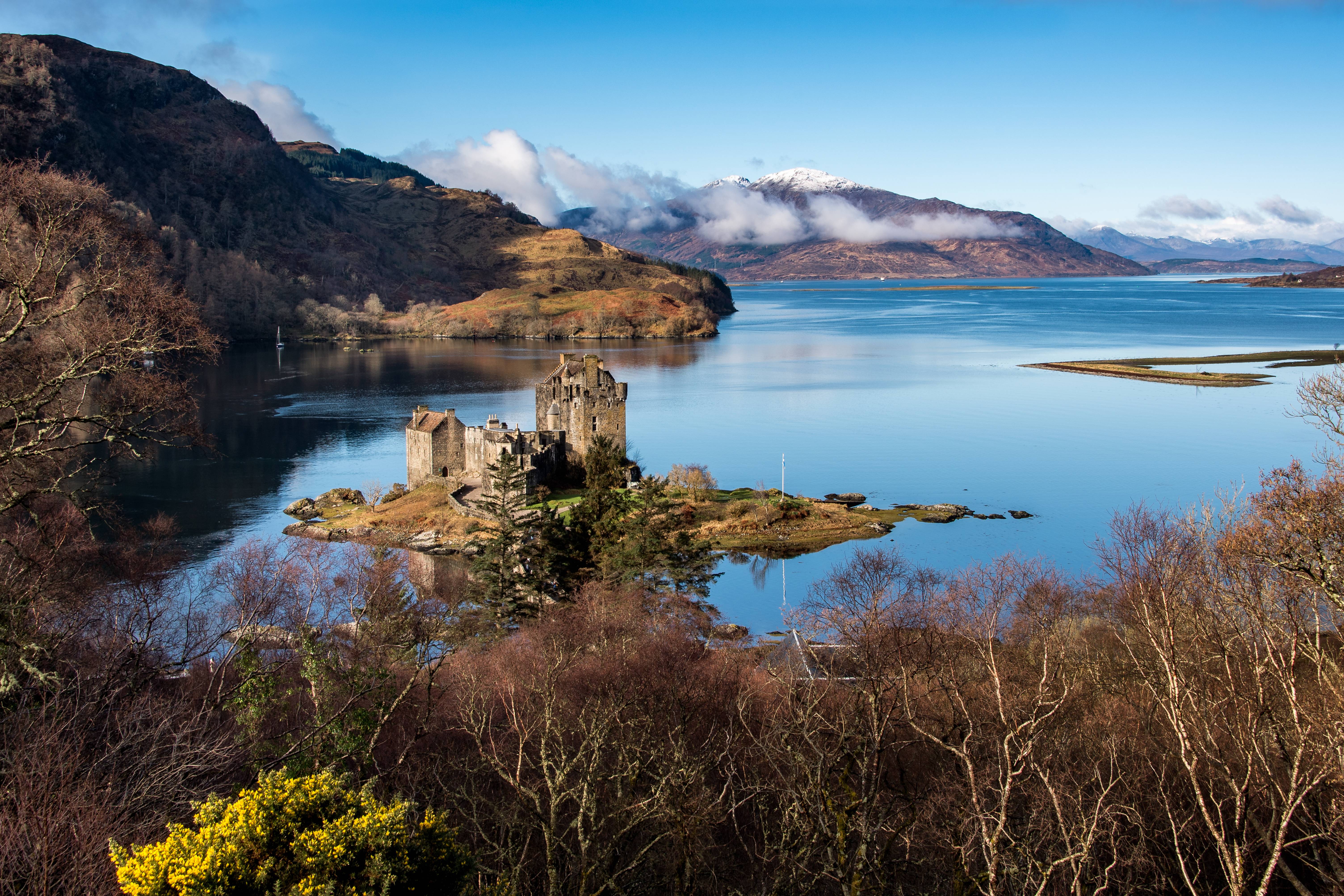 HIGHLAND BACKDROP