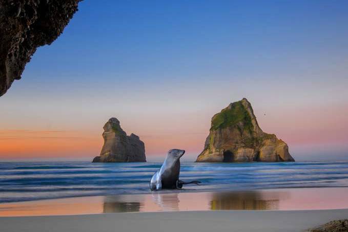  Exploring Tasman bay