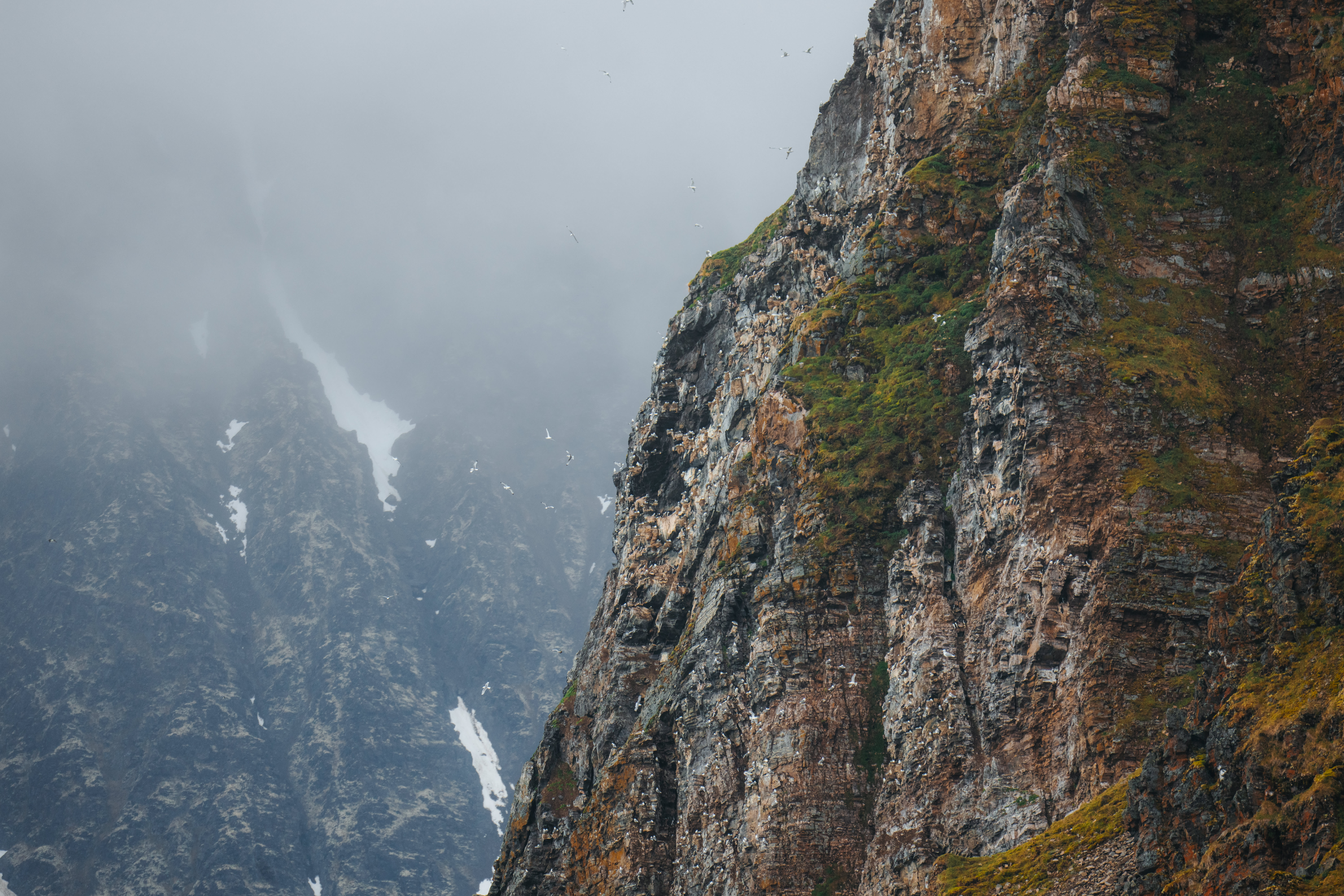 Alkefjellet