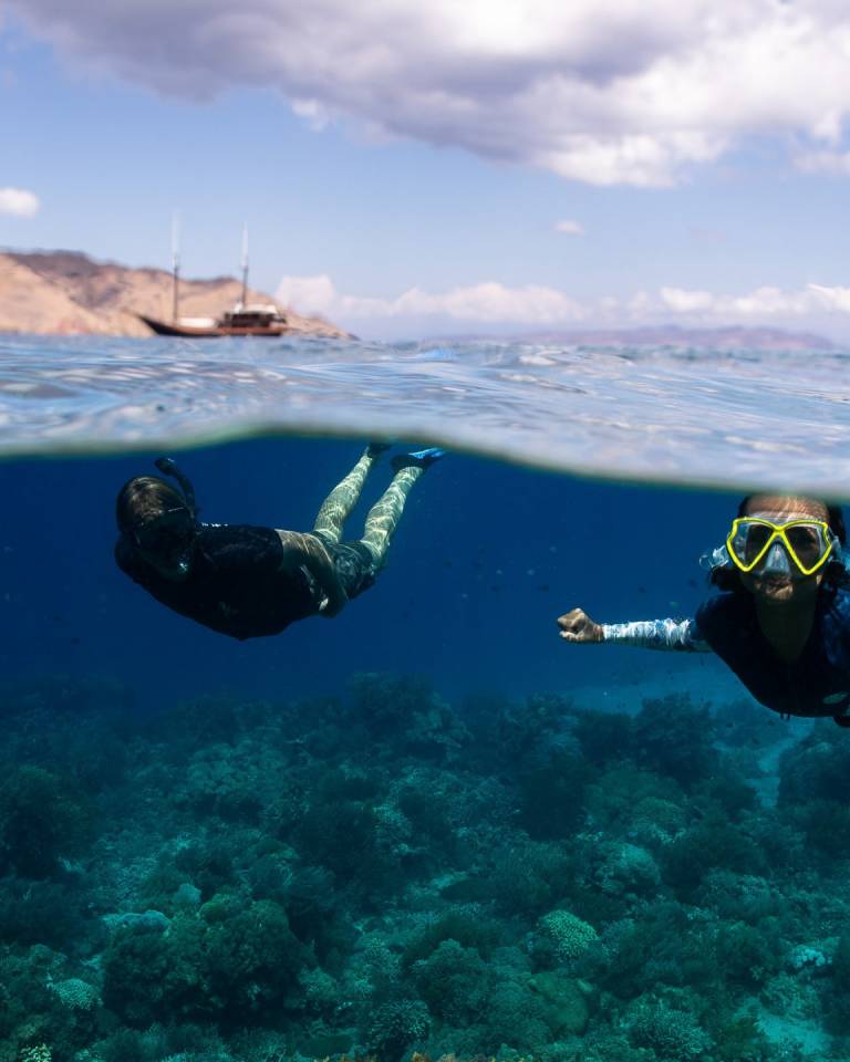 Marine Wildlife