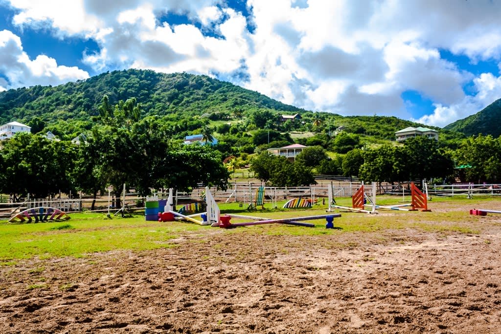 Caribbean – Antigua – Falmouth – horseback riding – Spring Hill Riding