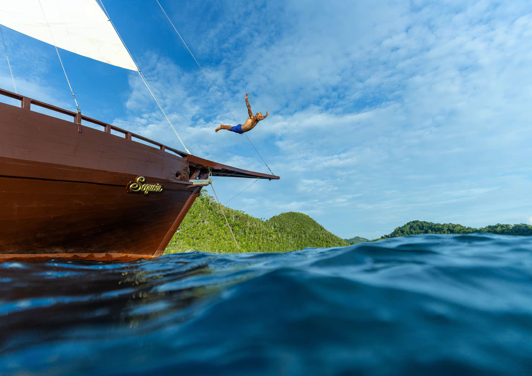 Dive into Discovery