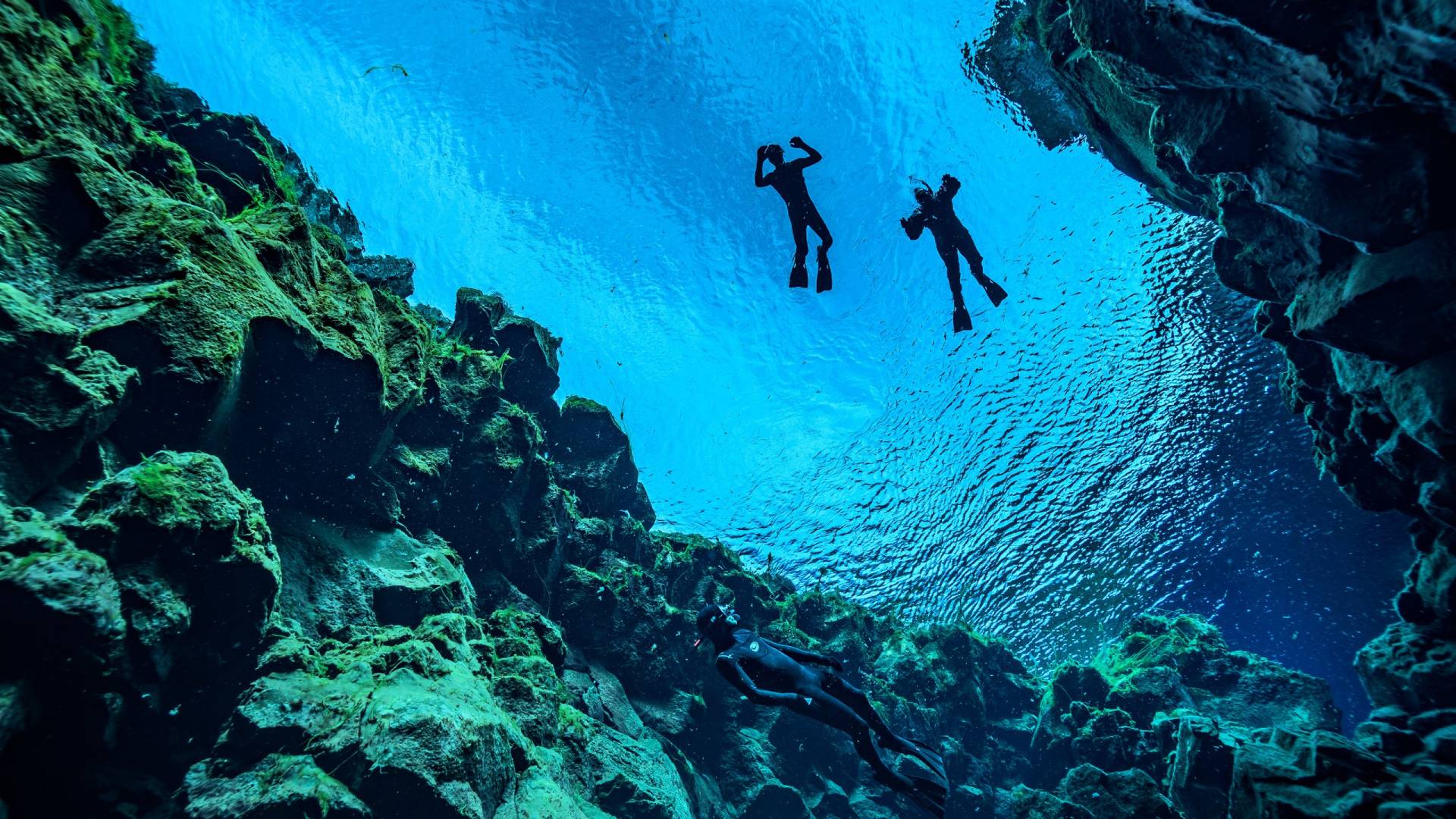 Dive into the Depths