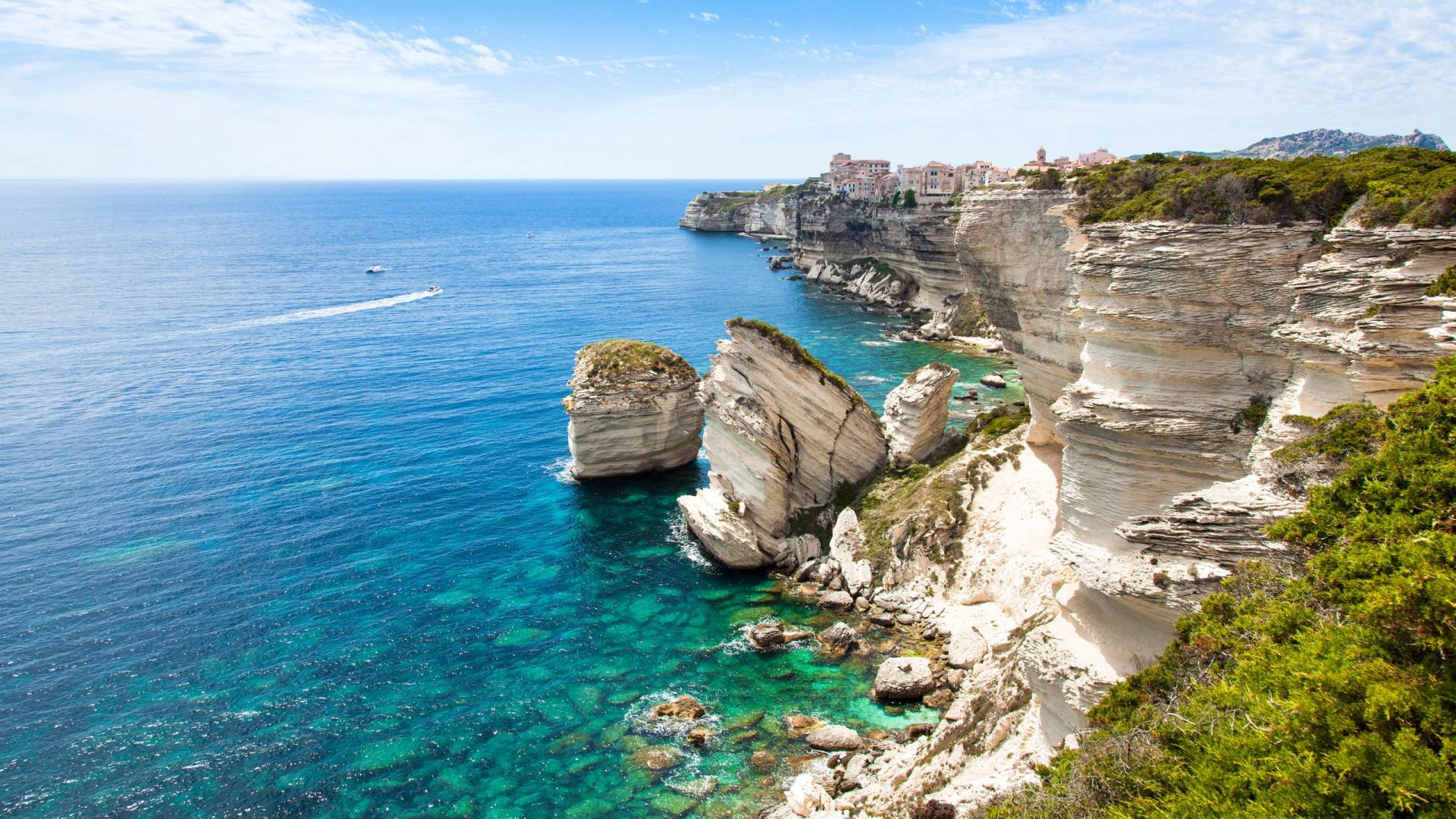 The Wild Side Of The Mediterranean