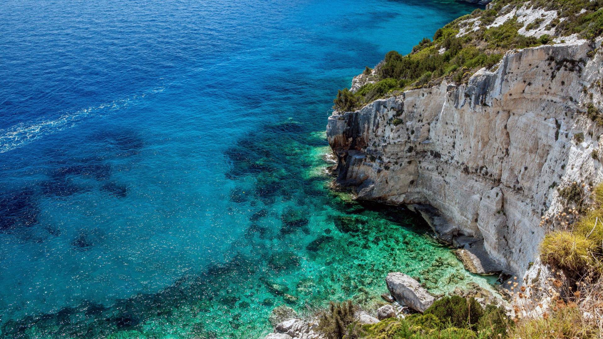 Living Nature, Above And Below The Water