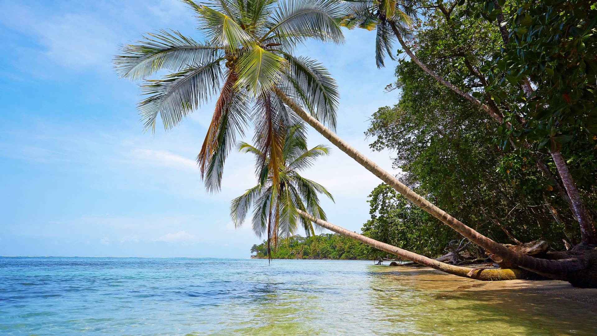 Wealth of Culture. Beaches of Gold.