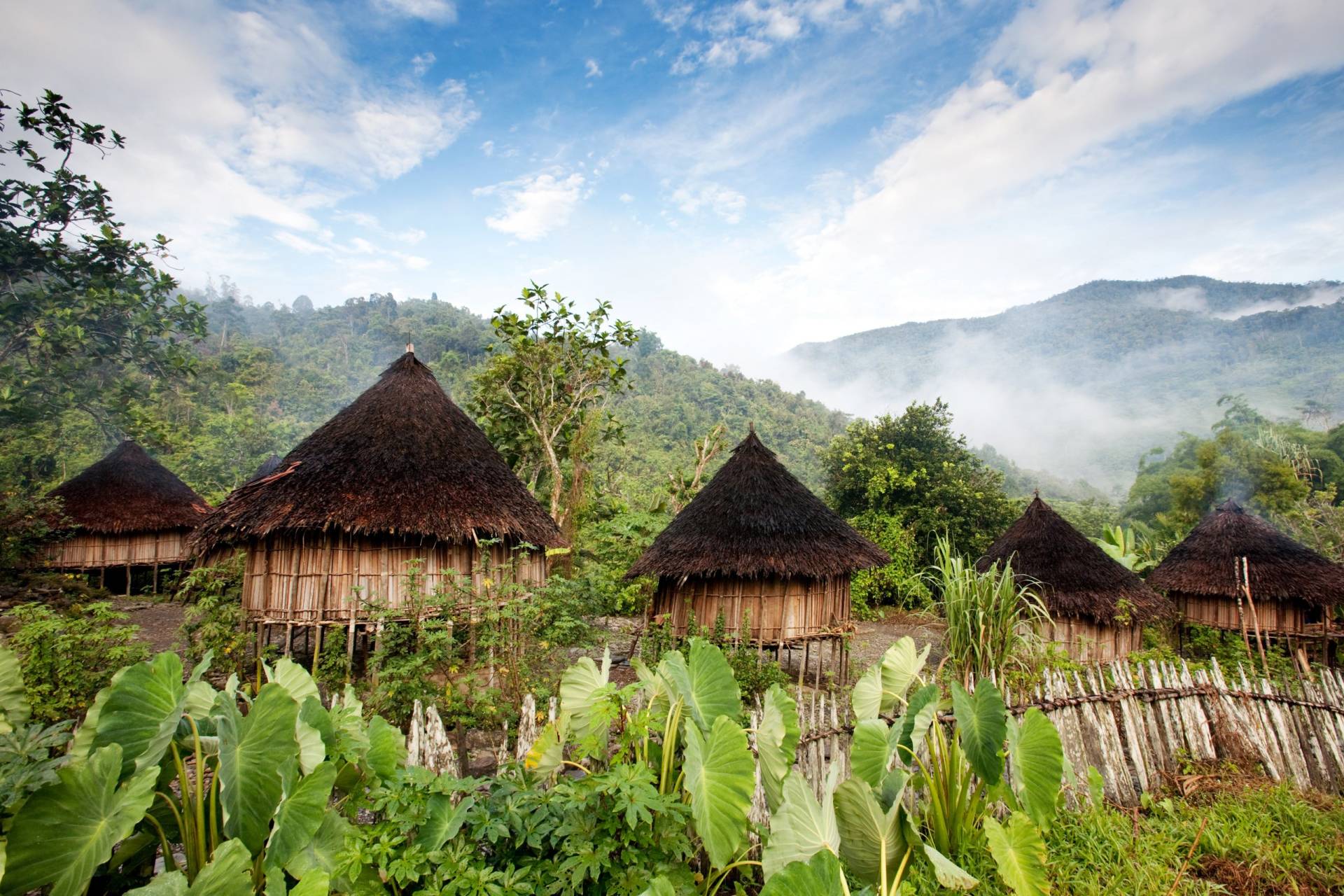 Tribal Traditions