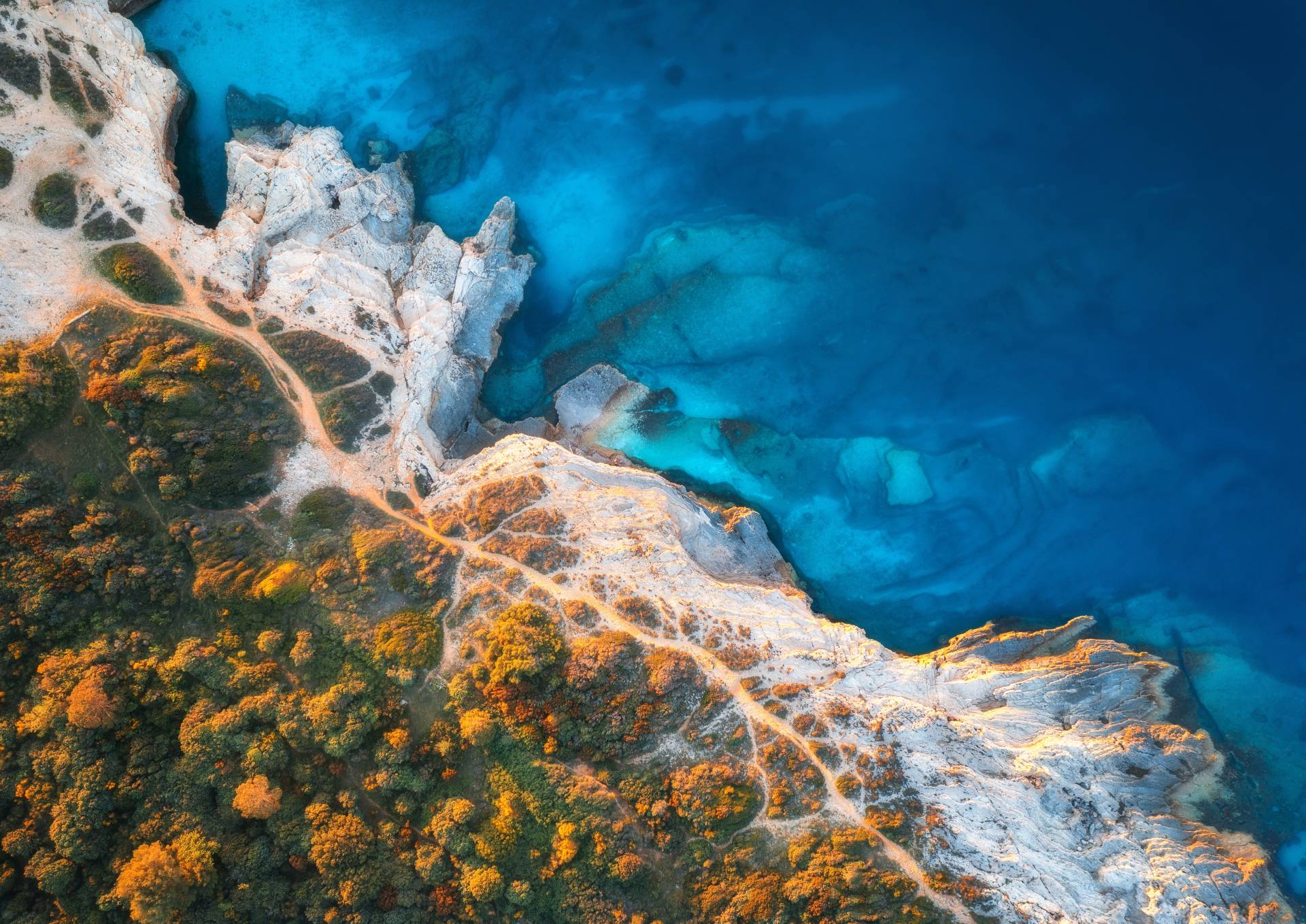 A Myriad of Islands 