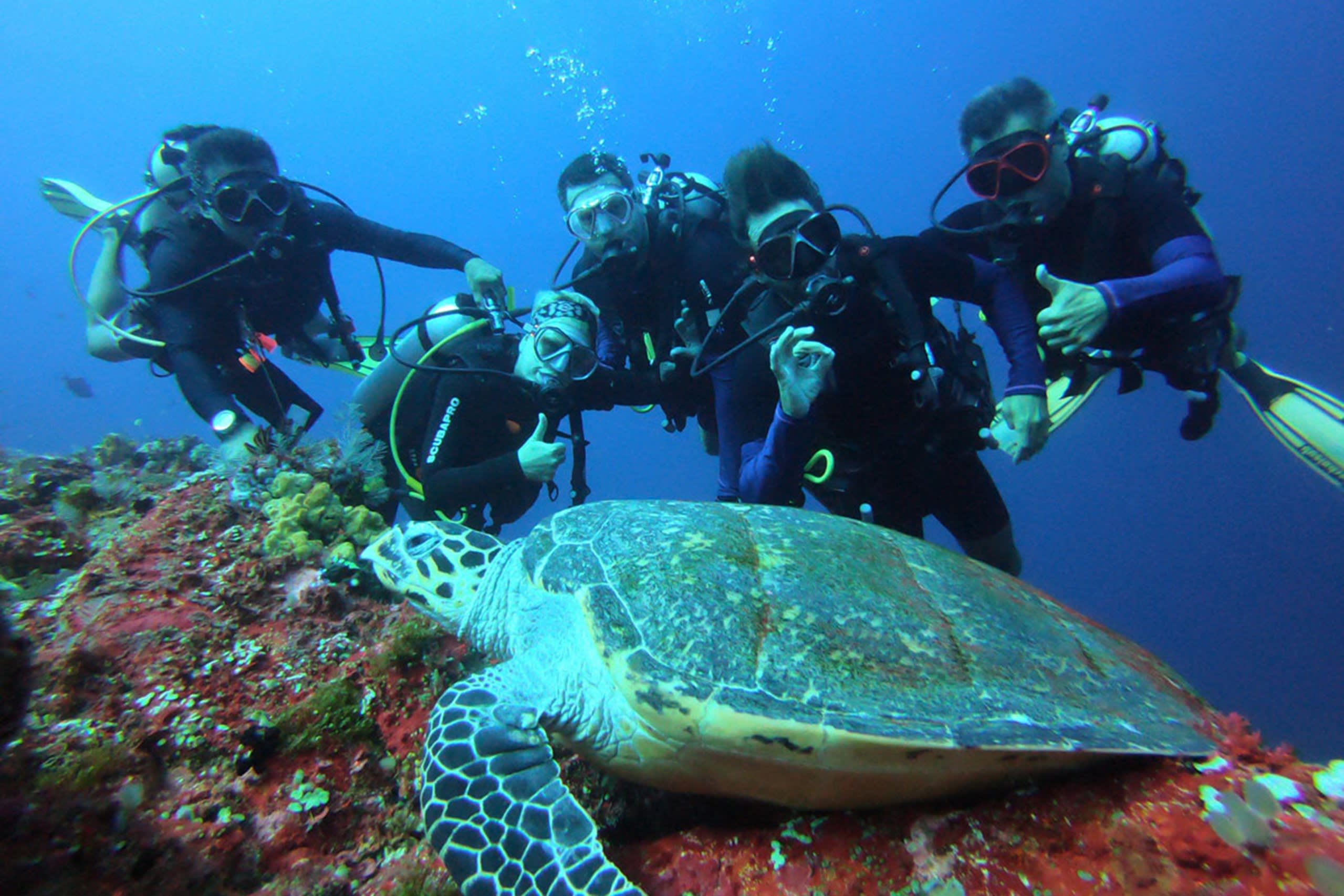 Underwater Adventures