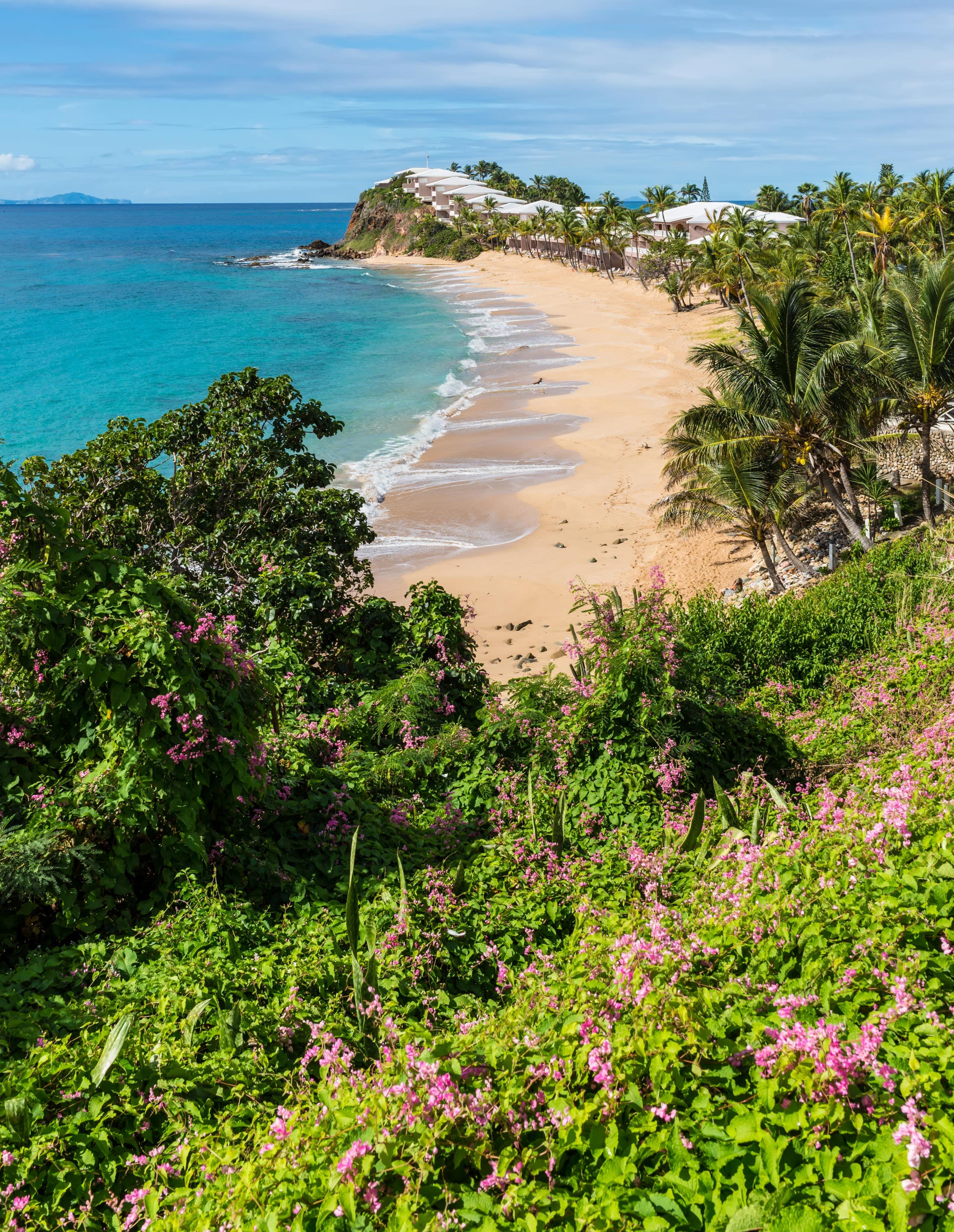 Beaches. Rainforests. Volcanoes.