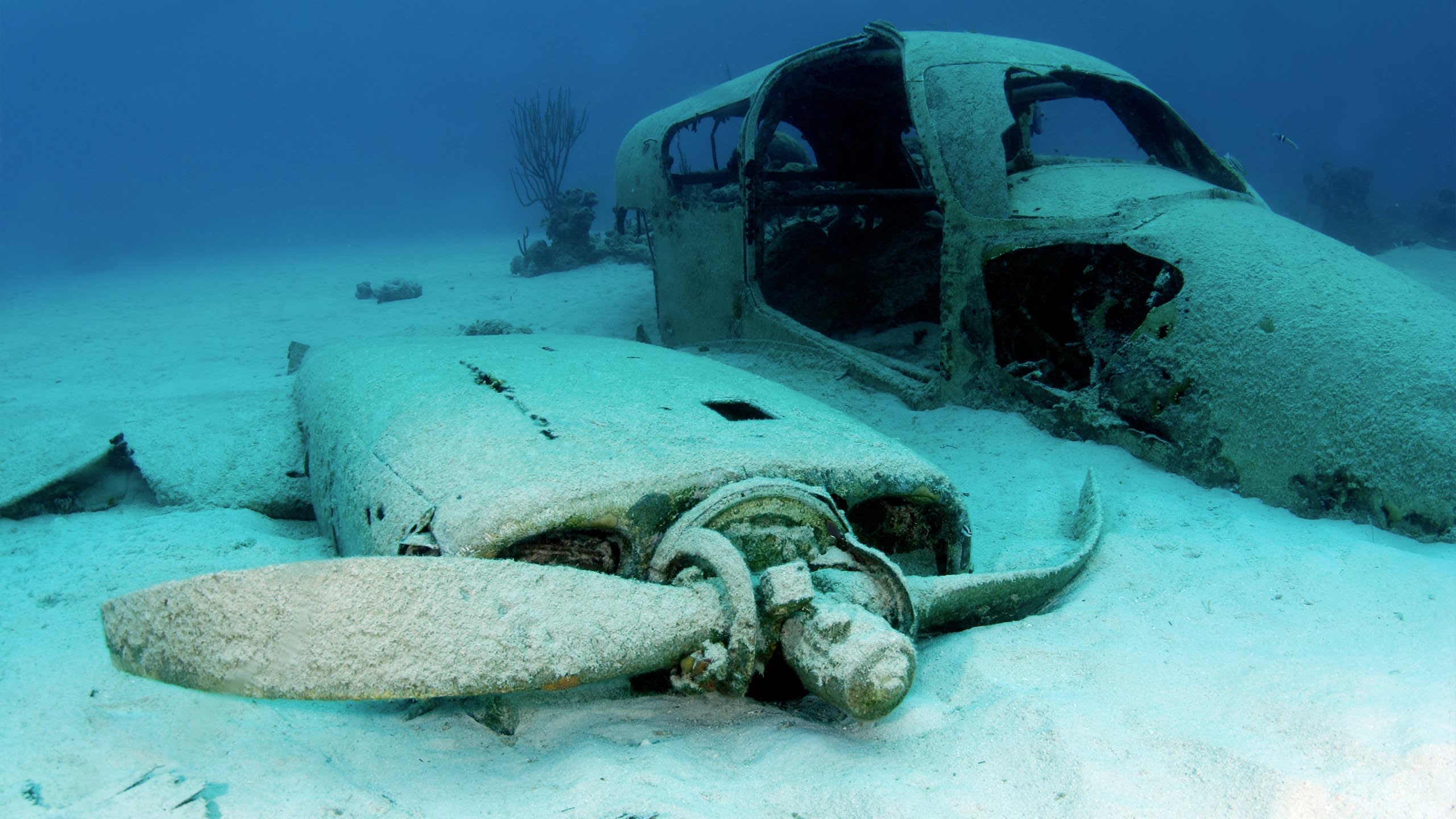 Dive an Ancient Plane Wreck