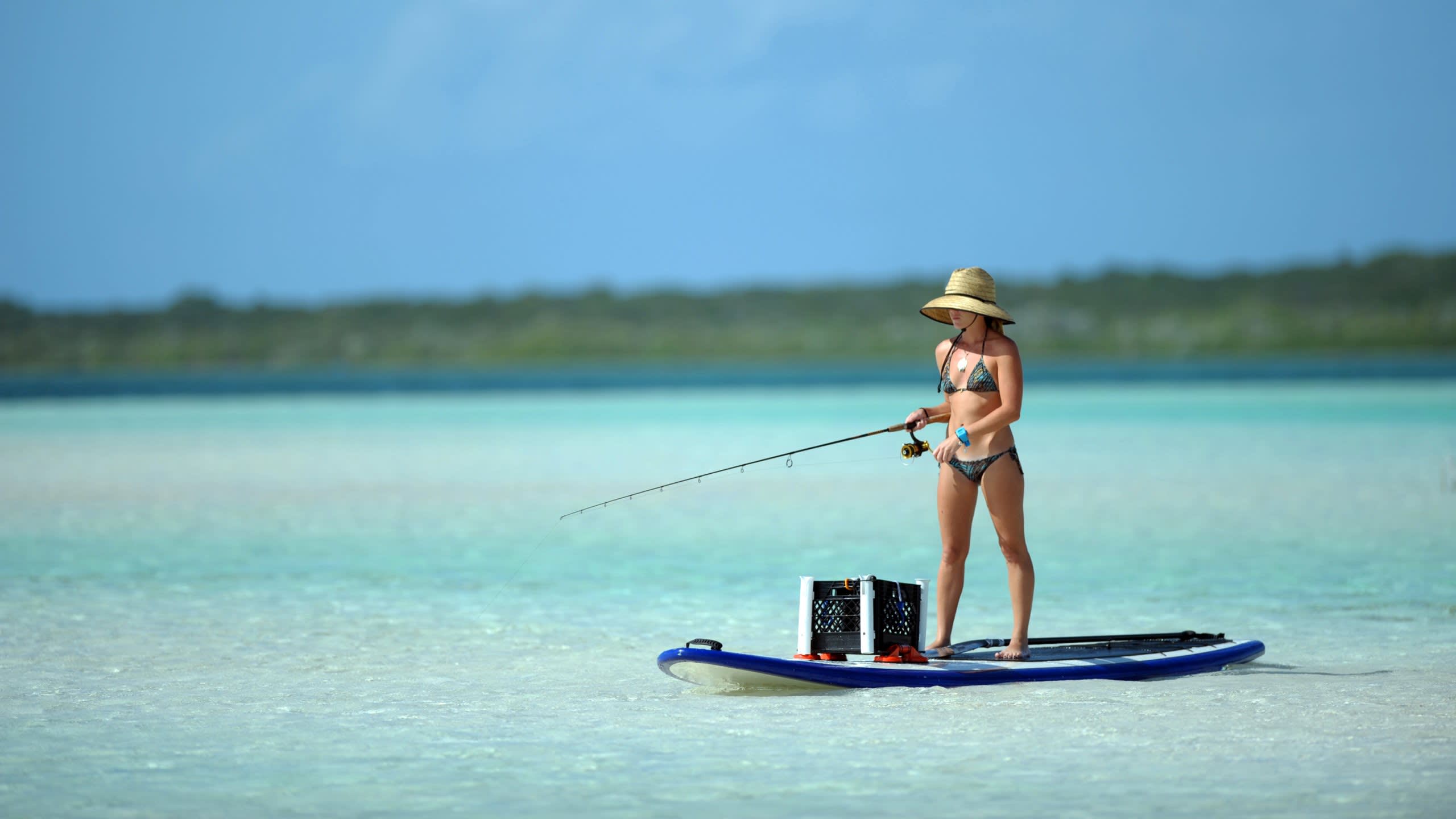 Fishing