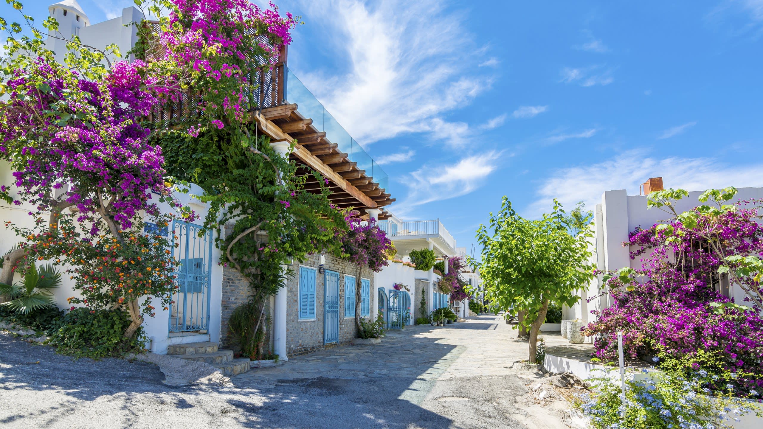Old Town