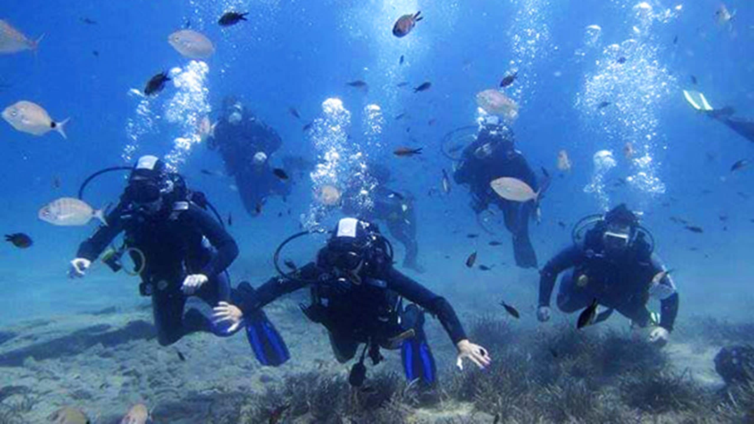 Scuba Dive