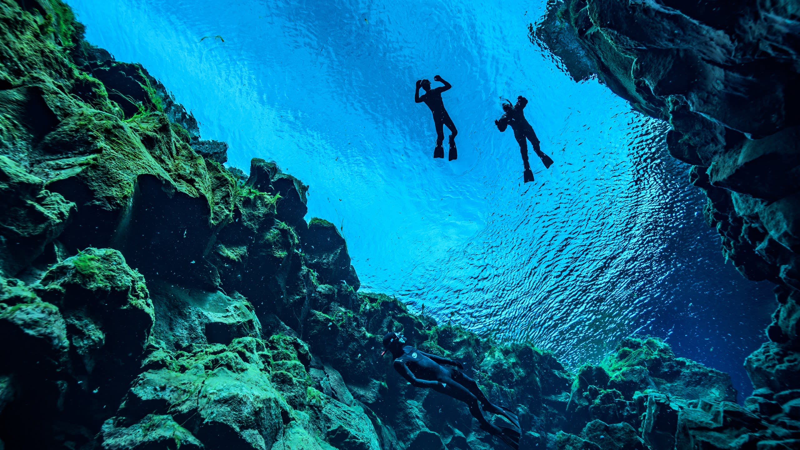 Snorkelling between Tectonic Plates