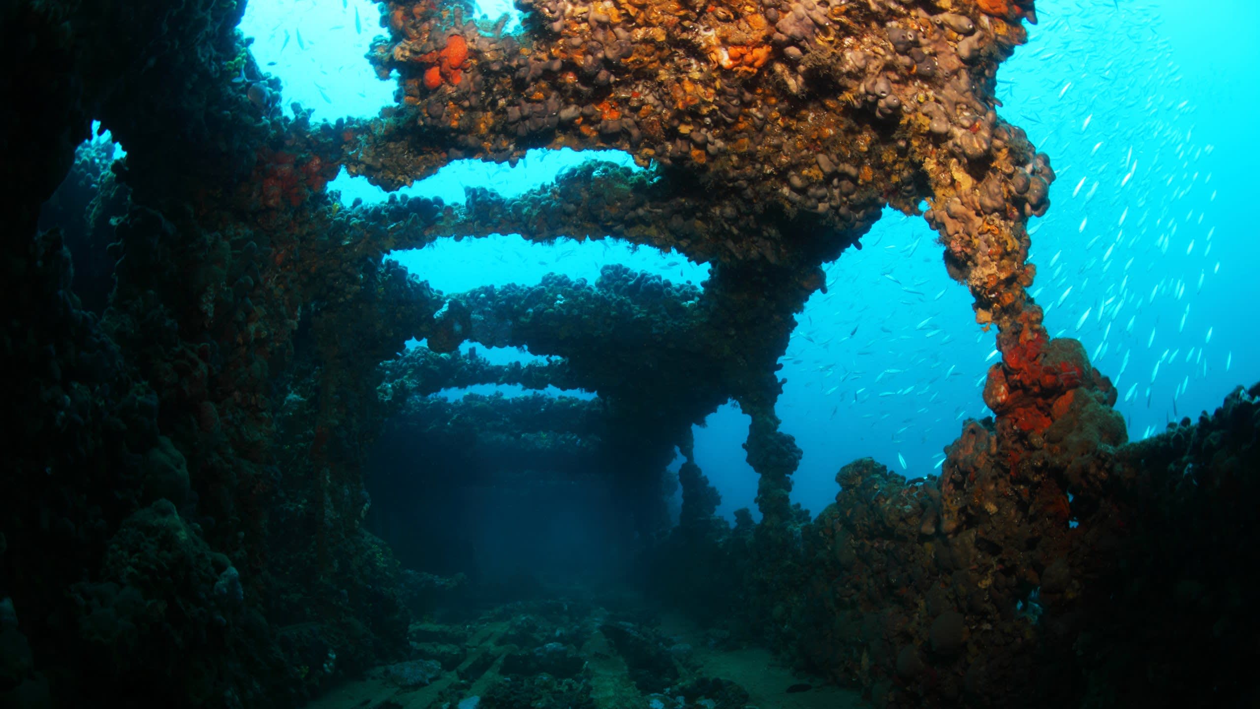 Moskito Island