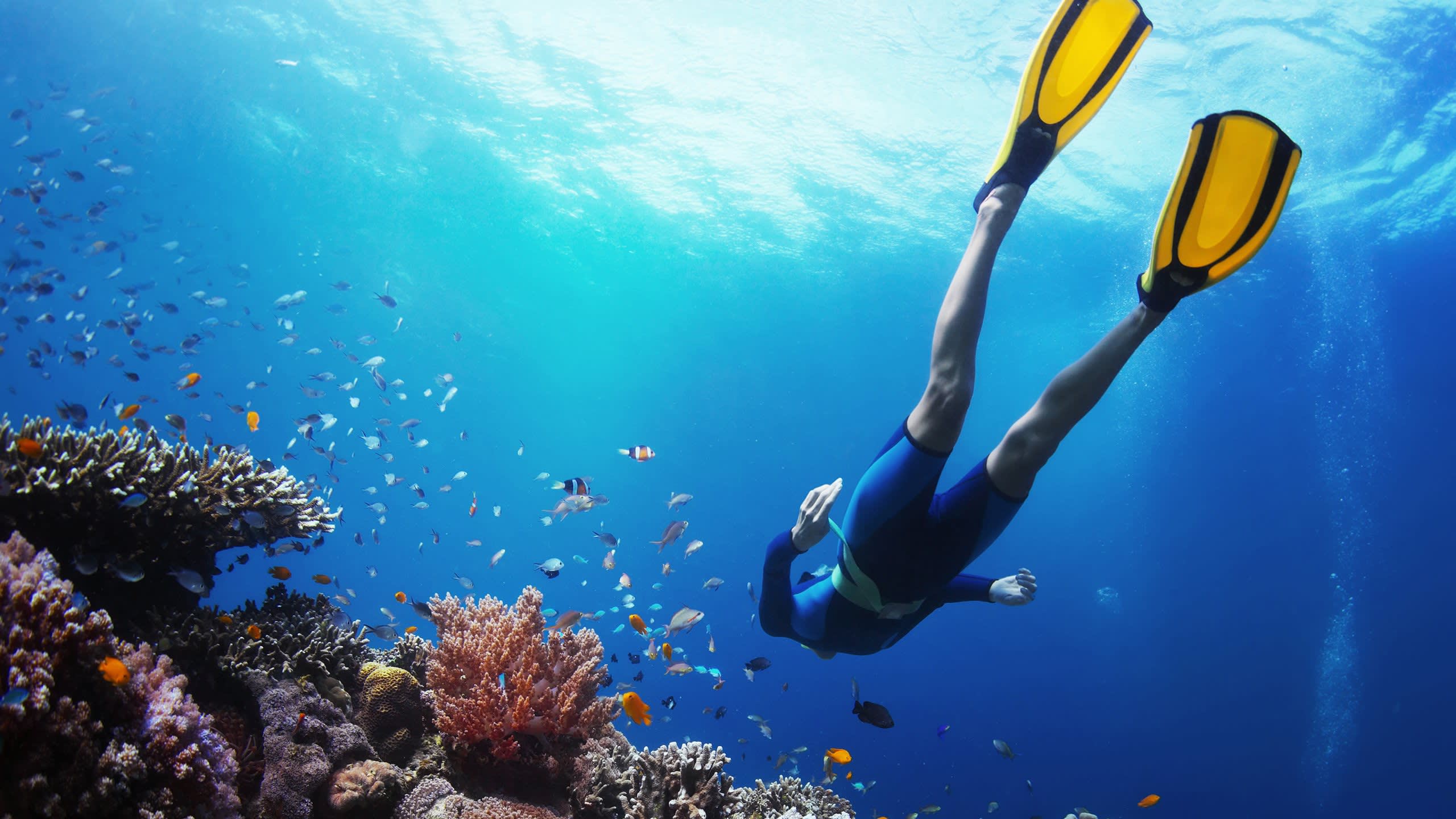 Pain de Sucre Dive Site