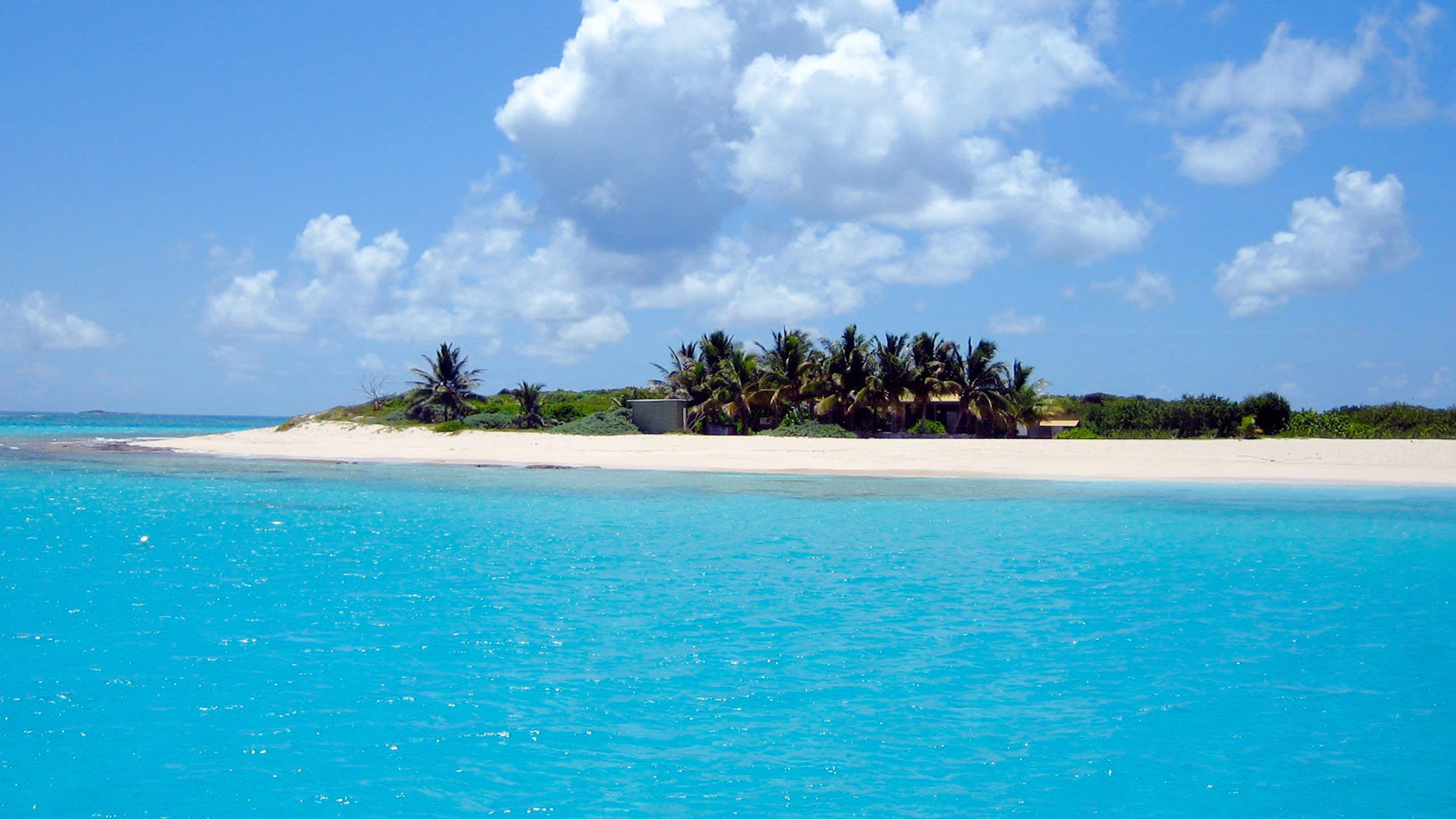 Coral Cays and Treehouse Reggae