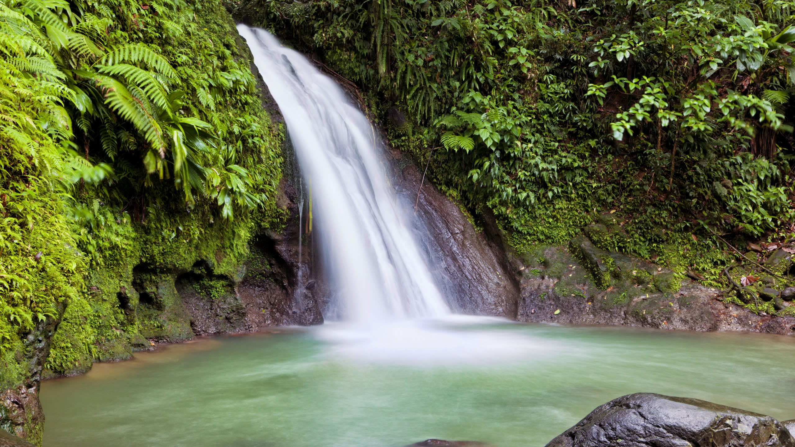 Isolated Islands, Delightful Diving and Fruitful Forests