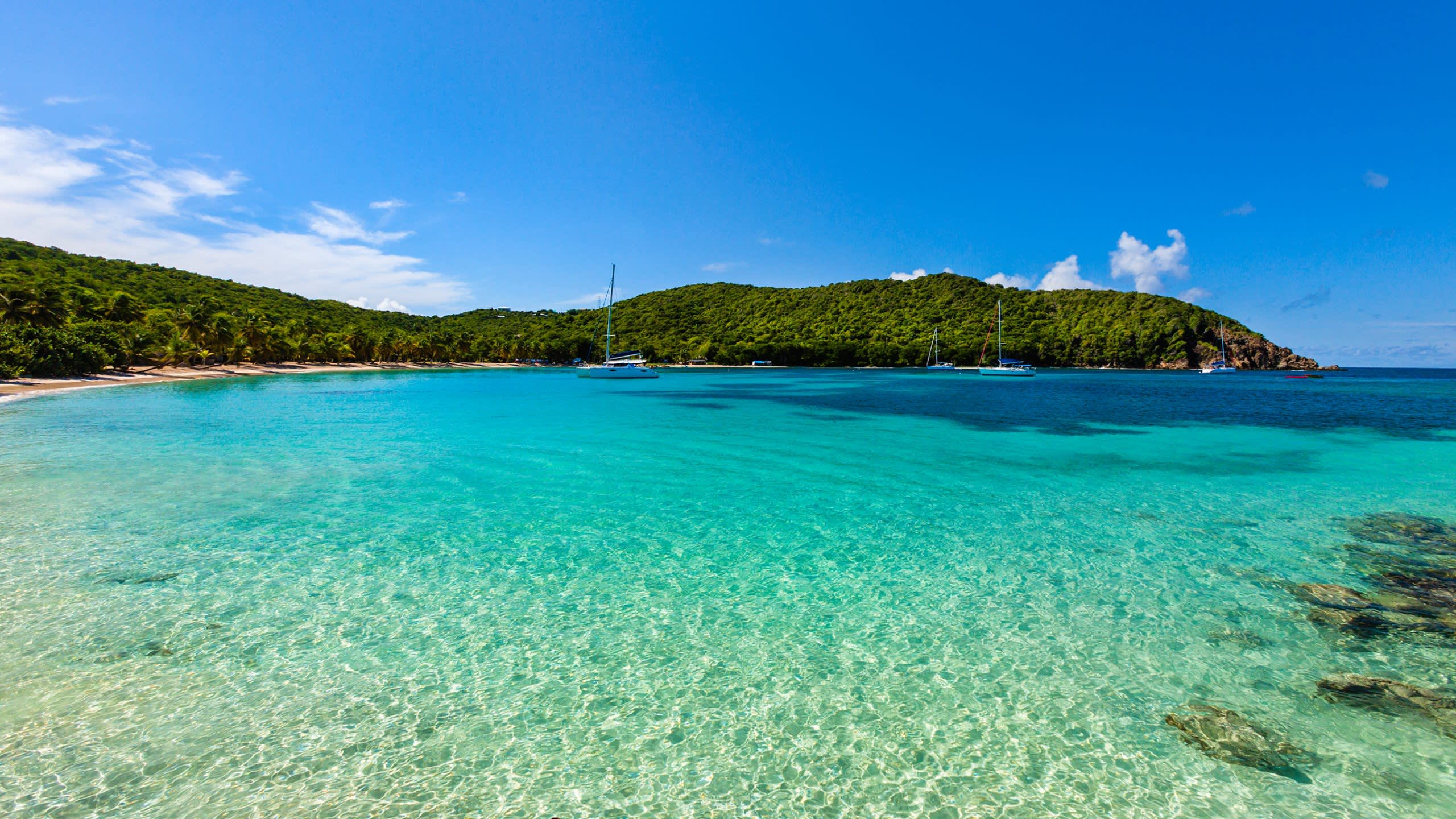 Wildlife. Hiking. Beaches.