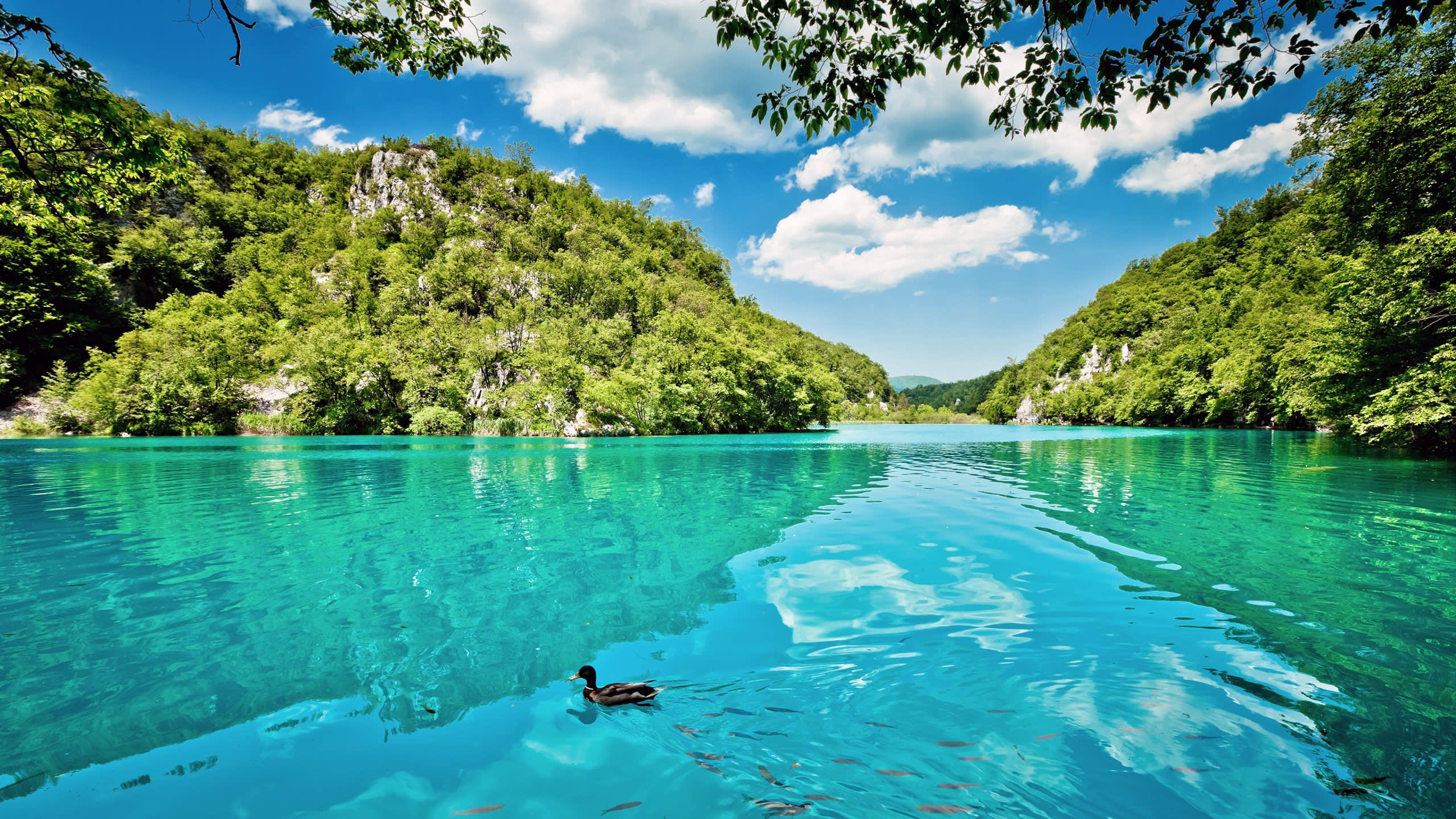 adriatic blue yacht besitzer