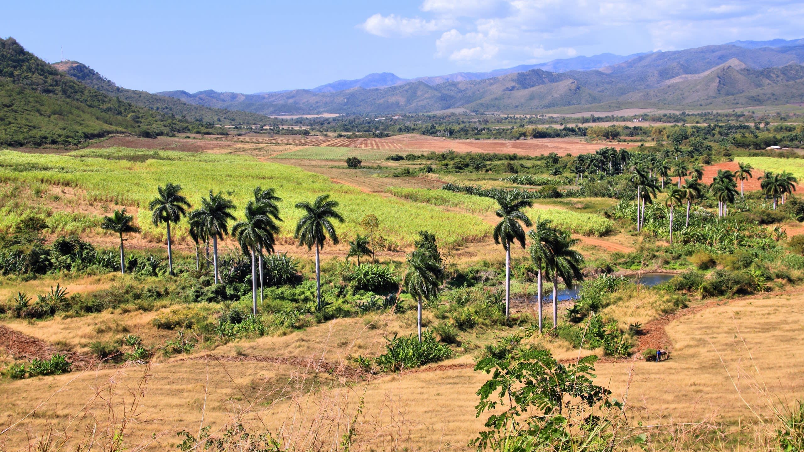 Valle de los Ingenios