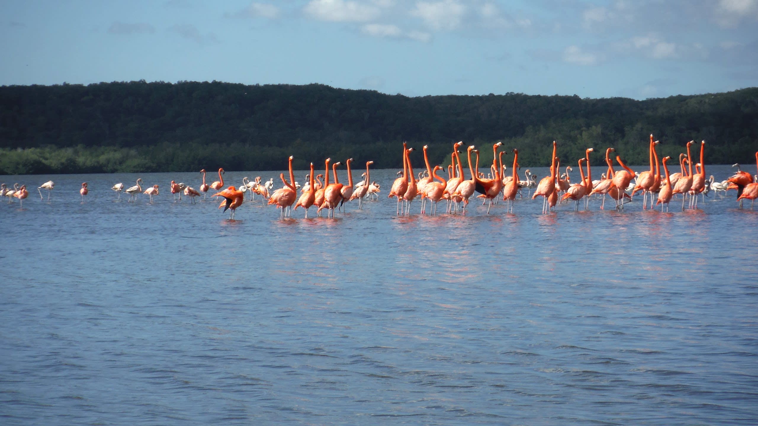 Guanaroca Lagoon