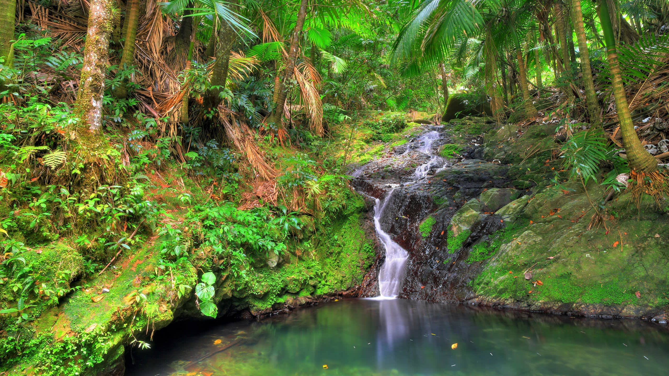 History, Nature, Adventure: Puerto Rico