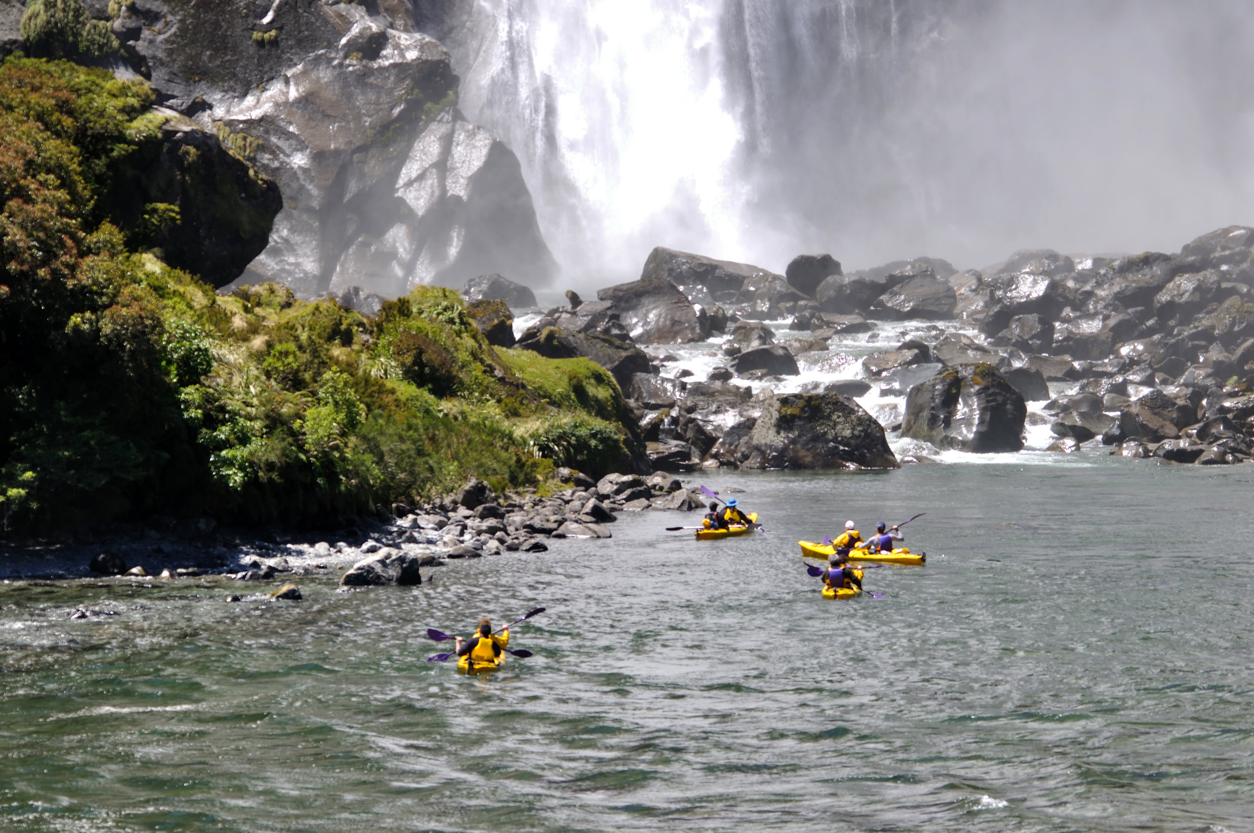 Kayak or Paddle Board