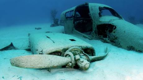 Dive an Ancient Plane Wreck