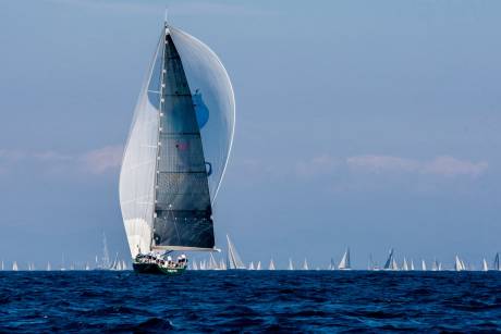 Voiles de St Tropez