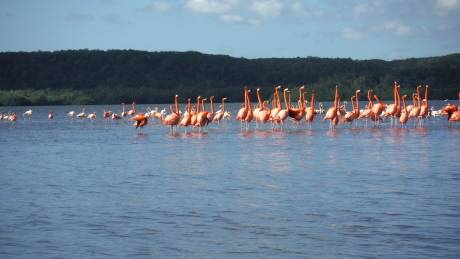 Guanaroca Lagoon