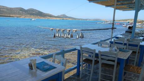 Restaurant Captain Pipinos