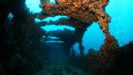 Moskito Island