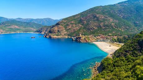 Scandola